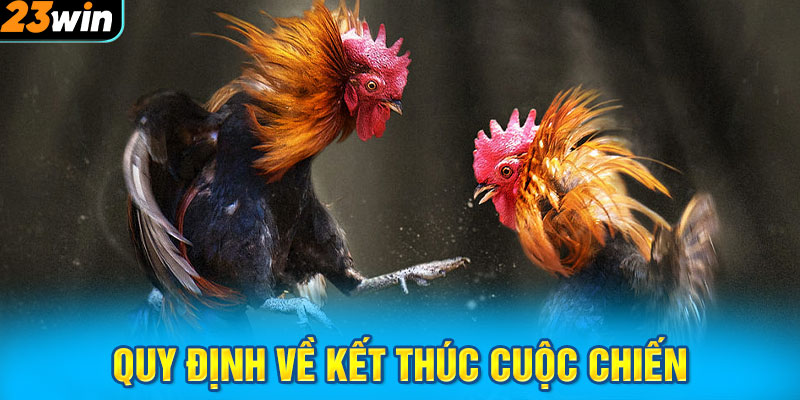 Quy định về kết thúc cuộc chiến